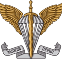 partner Ukrainian Air Assault Forces